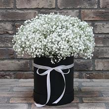 Цветочная композиция из Гипсофила в шляпной коробке в Сузуне