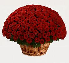 Премиум букет из: Розы в Сузуне